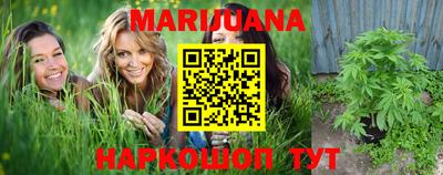 кокс Гатчина
