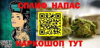 кокс Гатчина