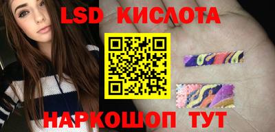 кокс Гатчина