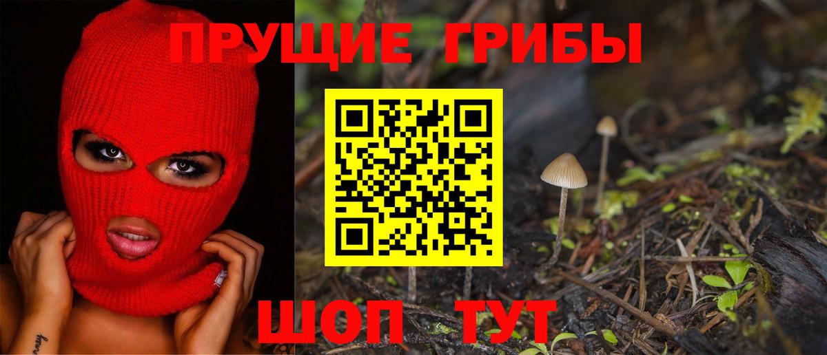 Новоалександровск  Псилоцибиновые грибы ЛСД  Вход с VPN 
